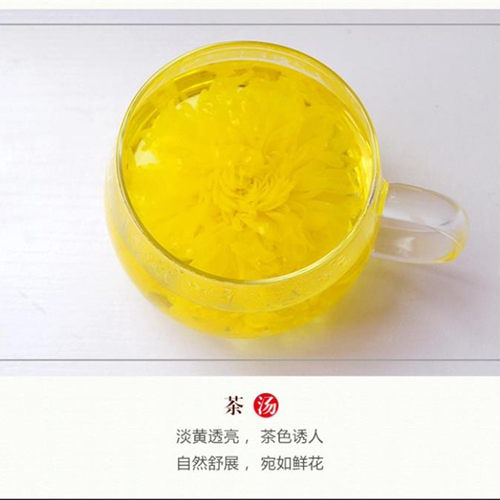 江西婺源金丝皇菊伴手礼一朵一杯礼盒装菊花茶黄菊篁岭特产新花茶 - 图1