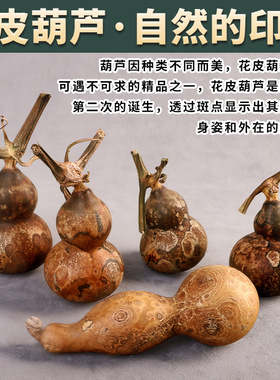墨绿葫芦花皮文玩葫芦手把件天然