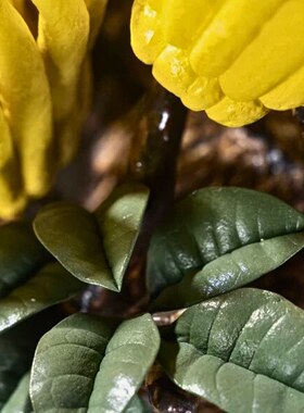 金佛手万事就手佛山石湾公仔陶瓷摆件乔迁家居客厅酒柜玄关中式