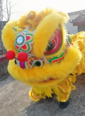 舞狮道具南狮醒狮成人儿童双人
