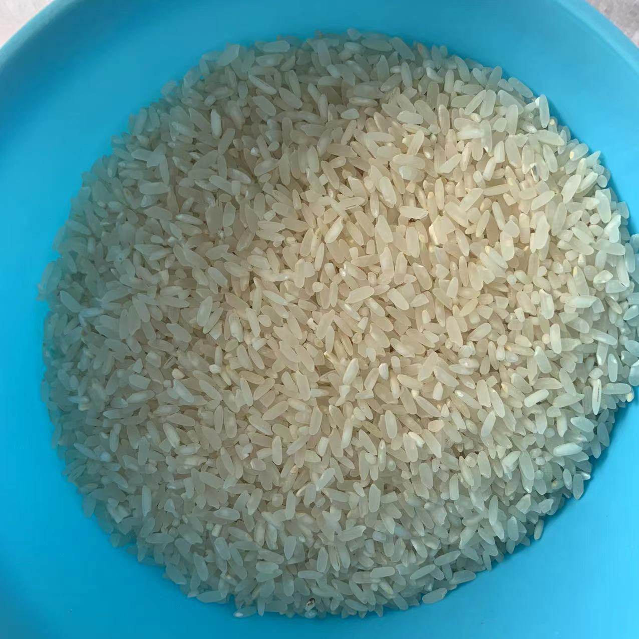 衢州农家自己种大米新米杂交水稻不抛光不打蜡原生态散装真空包装,淘宝优惠券,粉丝福利购,淘宝优惠卷