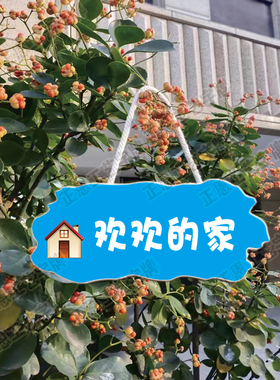 定制狗狗用品猫猫宠物狗窝挂饰挂牌创意可爱狗犬舍装饰门牌标识牌