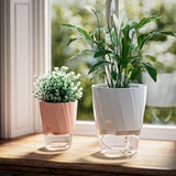 Ленивый самопоглощенный цветочный горшок Гидропонный растение