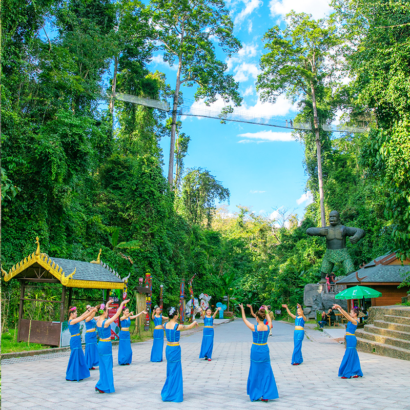 深度雨林西双版纳旅游推荐 望天树景区纯玩一日游含套票 全程讲解 - 图0