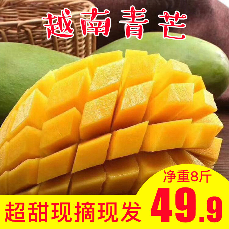  善食源食品芒果