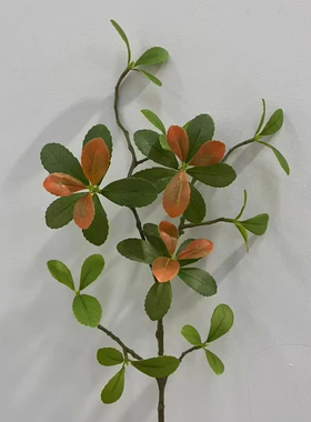 仿真植物海岛春花叶 多瓣叶 马醉木叶 吊钟叶网红民宿家居装饰