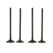 AHL adapted Kawasaki KLE250 ZZR250 ZZR250 GPZ250 GPX250 EL250 EL250 valve in exhaust