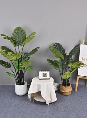 仿真造型龟背树春芋软装造景家居装饰商场橱窗大型落地植物龟背树