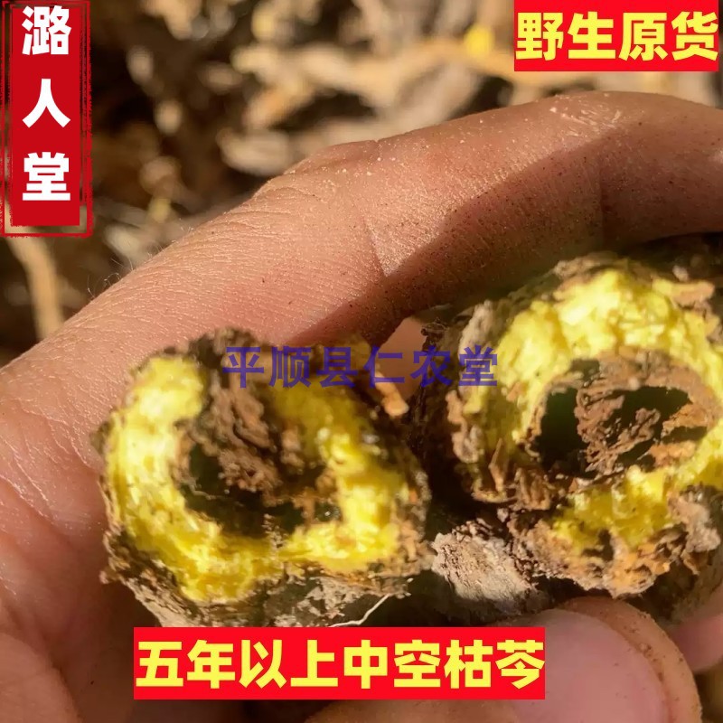 野生黄芩枯芩条芩子芩中药黄芩500克包邮山西黄芩-图2