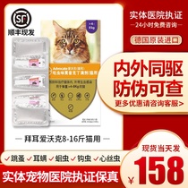 Bayer cat deworming Love Walker as kitty insect repellent and inside and outside the sea Leiny mite Mite Flea Insect Repellent