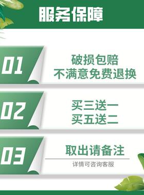 亚克力真蝴蝶标本可取出已展翅
