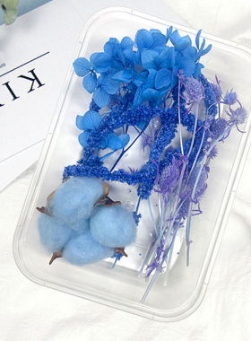 干花永生花DIY材料包手工制作