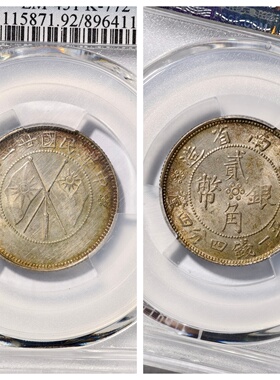 其他/other银币民国居家收藏保真