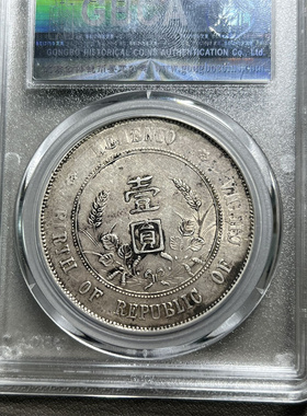 other/其他银元民国居家保真收藏