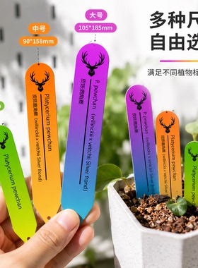 植物个性花牌文字颜色logo可定制