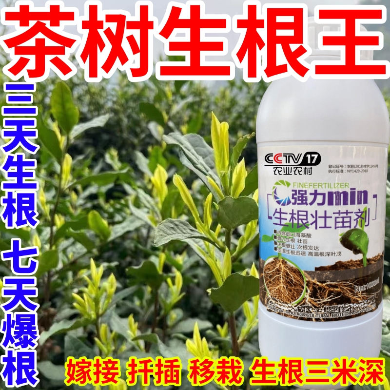 茶树生根王强力生根粉生根剂壮苗发根生根剂扦插移栽通用水溶肥料,淘宝优惠券,粉丝福利购,淘宝优惠卷