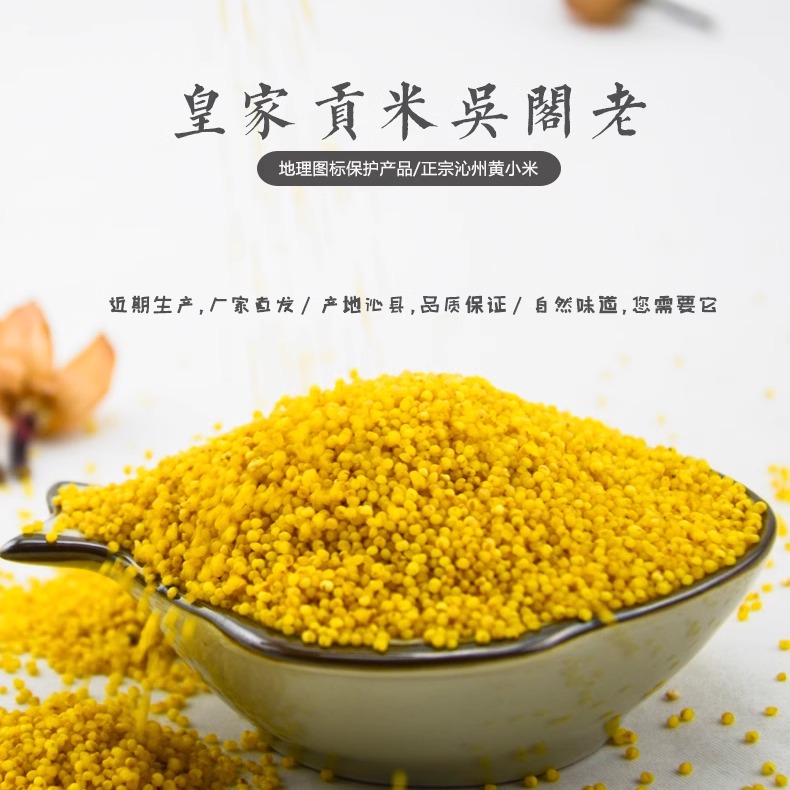 山西吴阁老正宗沁州黄小米粥500g*2真空农家月子新米五谷杂粮粗粮 - 图1