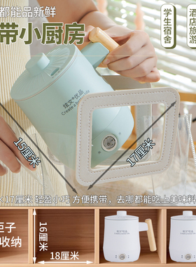 户外小号插电迷你电热烧水杯电功率车载便携旅行小型电煮杯煮奶器