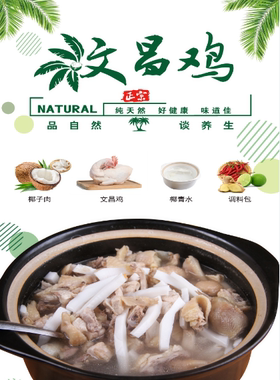 椰子养生火锅海报贴纸猪肚鸡烧