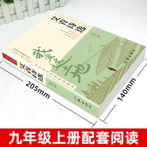 艾青诗选九年级必读正版原著课外阅读书初中生初三上册书目我爱这土地原著人教版艾菁爱青诗集爱情艾情艾清文选选集诗歌作家水浒传 - 图0