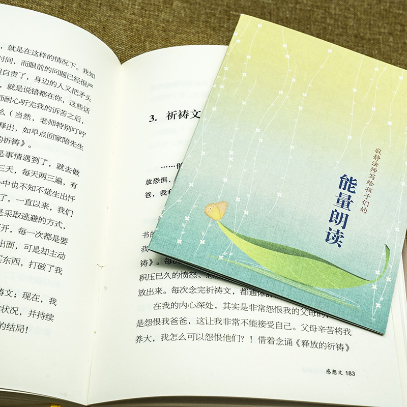 【随书赠能量朗读小册】生命喜悦的祈祷正版沈妙瑜著祈祷文一周生命喜悦的祈祷感想文心灵札记赠送送写给孩子的能量朗读文自我-图2