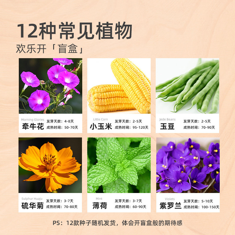 mideer弥鹿阳光房种植儿童盲盒科学小实验套装植物生长观察盒玩具,淘宝优惠券,粉丝福利购,淘宝优惠卷