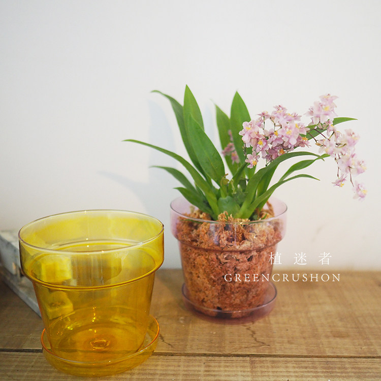 彩色透明玻璃花盆瓶花器兰花盆栽多色ins北欧风桌面室内植迷者 植迷者 淘优券