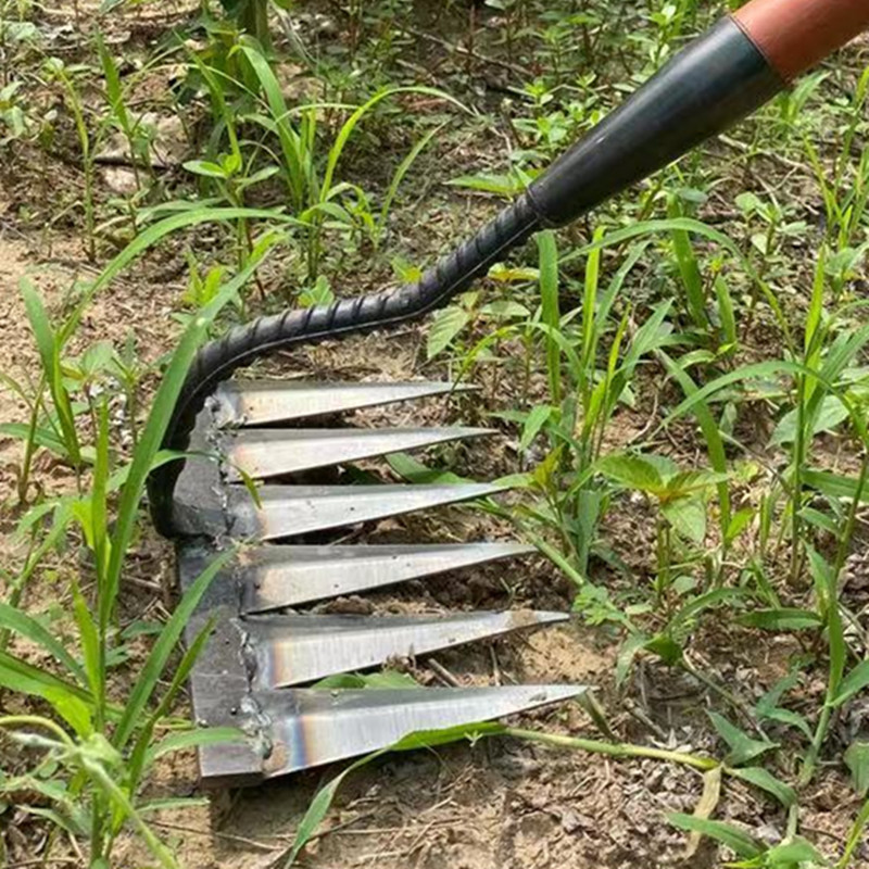 全钢锄头平地除草园艺工具翻地松土农工具农用多功能种菜神器耙子 - 图2