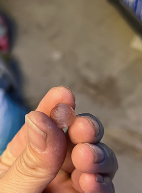 天然南红玛瑙耳钉生肖猪鸿运当头10mm苏工雕刻冰飘单珠子腰珠配饰