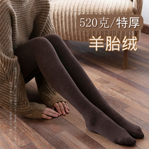 Cashmere pantyhose female outside wearing autumn and winter warm and warm pants gold cotton special imitation cashmere trampled underpants elastic underpants