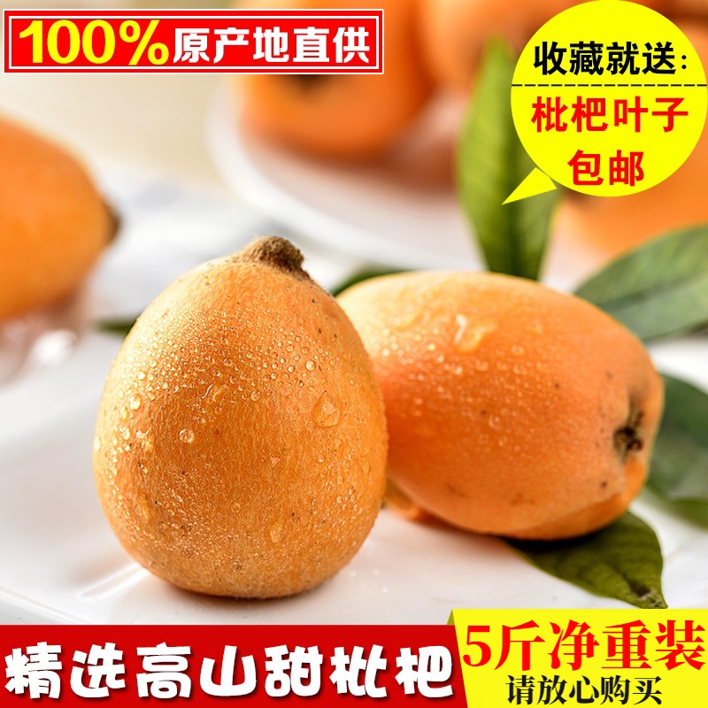 现摘5斤攀枝花米易枇杷精选新鲜孕妇水果整箱包邮非云南蒙自琵琶