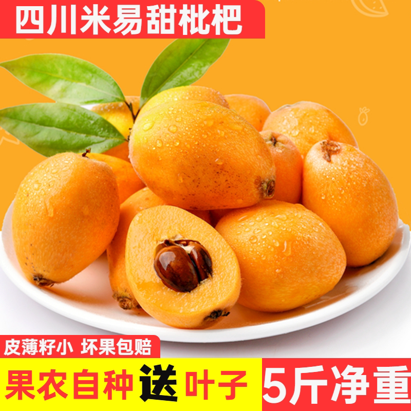 现摘四川攀枝花米易新鲜枇杷应季水果5斤整箱包邮云南蒙自琵琶果
