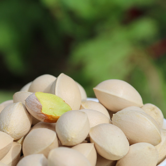 2025 Fresh Ginkgo and Ginkgo Pizhou Specialties