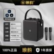 琅韵D93蓝牙户外音响100W大功率K歌便携露营广场舞电吹管乐器音箱