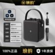 琅韵D93蓝牙户外音响100W大功率K歌便携露营广场舞电吹管乐器音箱