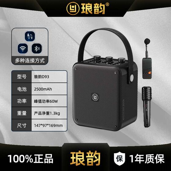 琅韵D93蓝牙户外音响100W大功率K歌便携露营广场舞电吹管乐器音箱