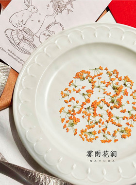 精品金桂花押花干花标本