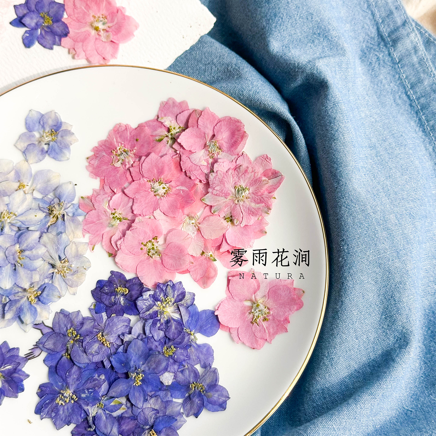 飞燕花千鸟花干花原色植物标本画框幼儿园手工蜡烛台灯滴胶手机壳 - 图0