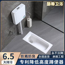 Ultrathin squatting pan narrow side squatting pit-type horizontal side row squat toilet urinal tank complete set same layer drainage stool deodorizer