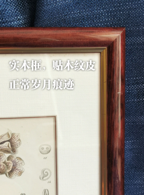 手边的画作石版画手绘高格调装饰