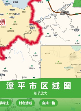 漳平市区域图 现代简约装饰画 办公室挂画 定制地图挂图