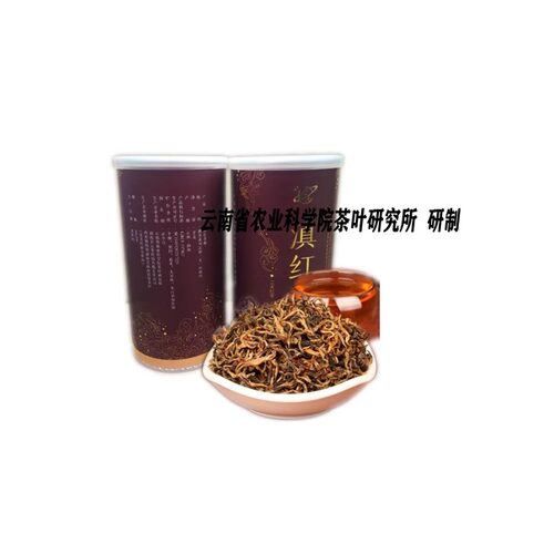 滇红香曲50g云南勐海版纳云勐海熟茶砖勐海功夫茶，香曲滇红系列 - 图1