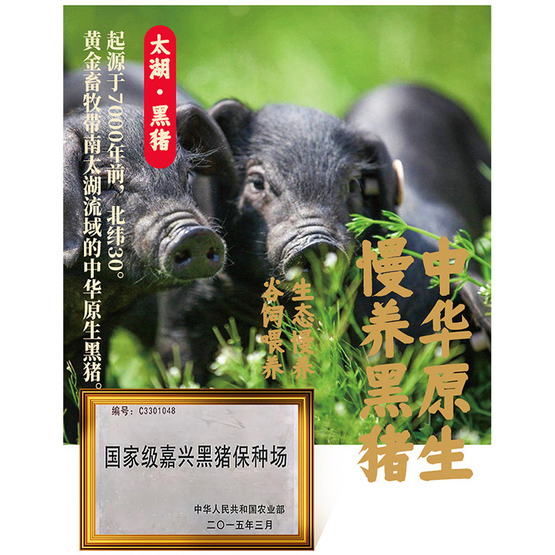 中华老字号 诸老大 致美斋 联名 粽有好事黑猪肉粽子礼盒 100g*10只 天猫优惠券折后￥39.88包邮（￥59.88-20）