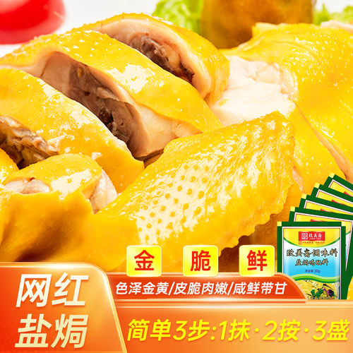 致美斋盐焗鸡粉广东客家盐局手撕鸡配料烤鸡翅沙姜粉调味30g*36 - 图2