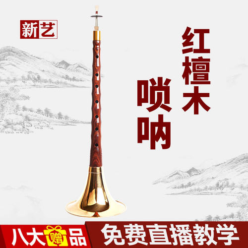 新艺红檀唢呐乐器全套唢呐乐器初学者专业演奏型专业唢呐D调喇叭 - 图0