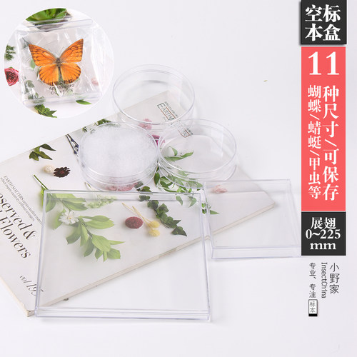 【空标本盒】亚克力材料12种全型号透明标本盒已展翅标本保存盒 - 图1