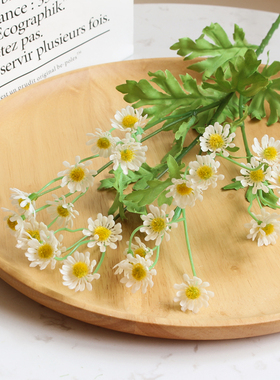 塑料雏菊花束拍摄道具装饰摆件