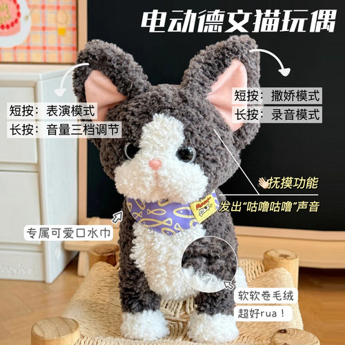 babygreat德文卷毛猫玩偶猫咪电动仿真小猫安抚公仔生日礼物 - 图2