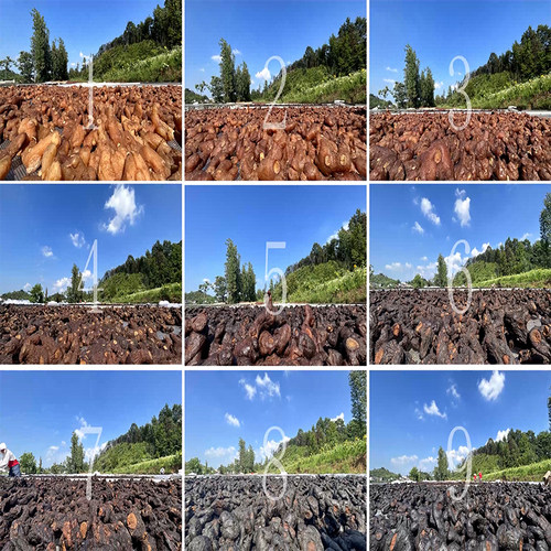 全肥厚九华山制黄精九蒸九晒熟黄精八九年野生7根一斤包邮 - 图1