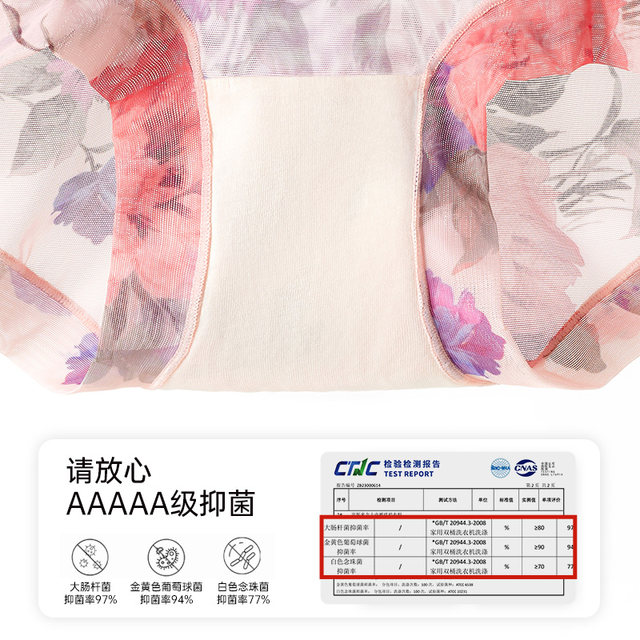 Funie mesh underwear for women thin and breathable